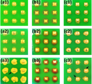 高濕度下放置14天后的焊點 搞濕度下放置14天后的焊點